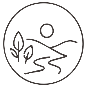The Reset Programme